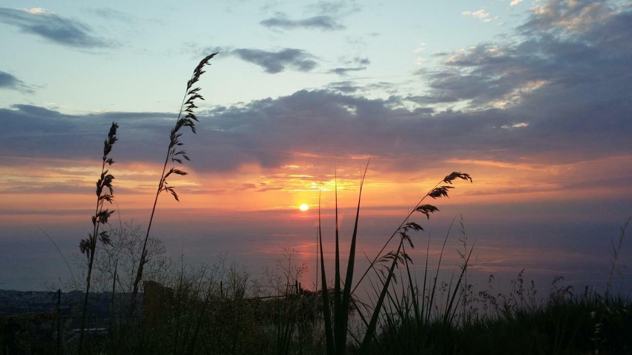 B&B Villa Eleonora Tropea Le Pioppe Esterno foto